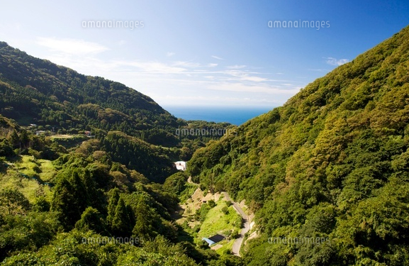 森林・林道・橋梁